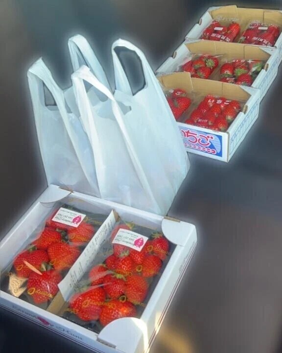 朝から梯子しちゃった