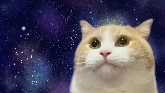 今週の出勤予定✨