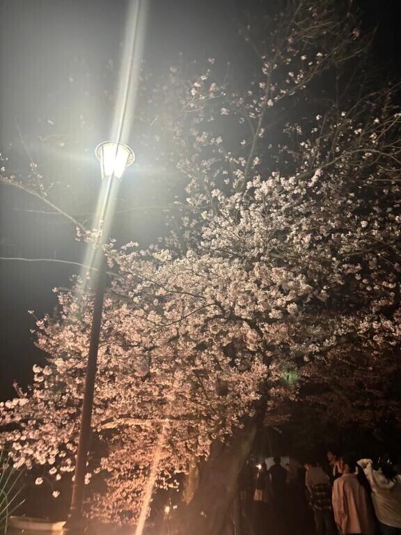 3月もありがとうございました🩷