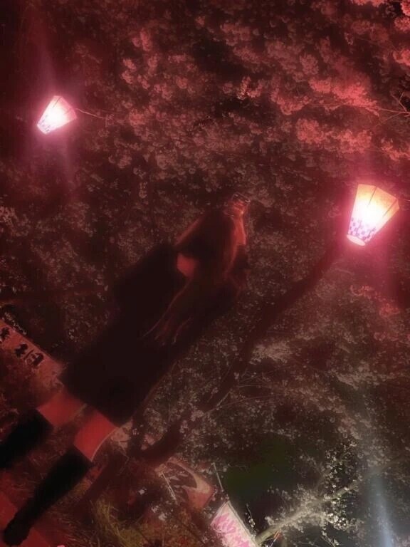 出勤しました☺︎