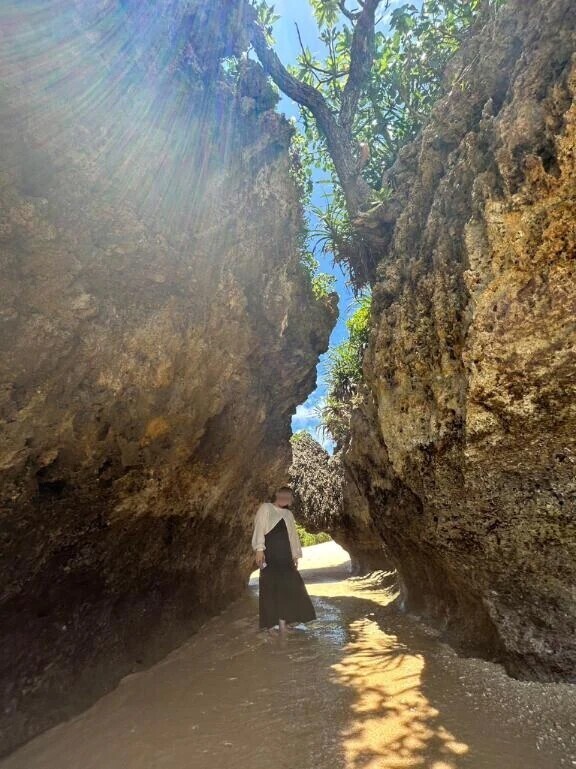 さくらって何者🌸