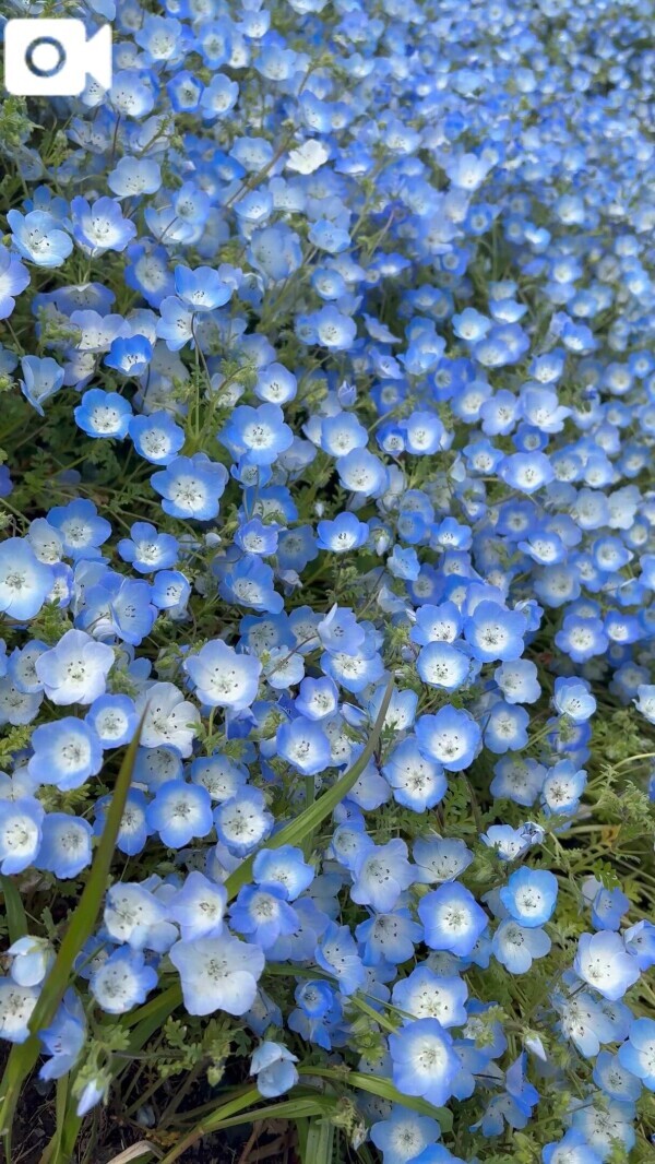 ちょーっとだけ🤏🤍