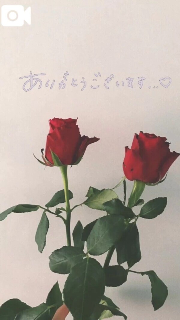 ご予約𓂃 🥀𓈒𓏸