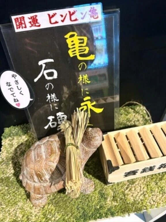 🤗私が一番興奮する時㊙️