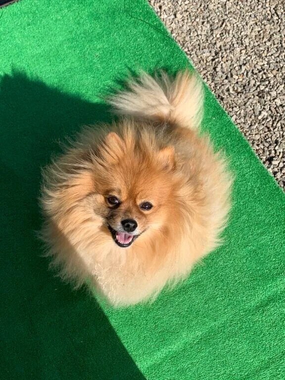 _( ˙꒳​˙ _ )ﾁｮｺﾝ