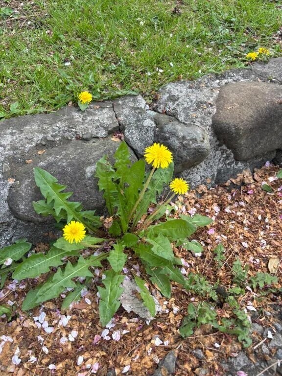 出勤しました！