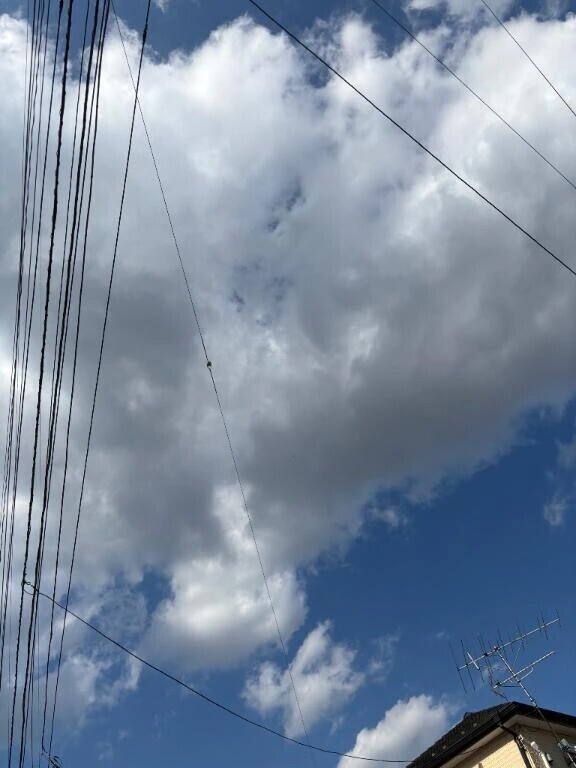 出勤しました！