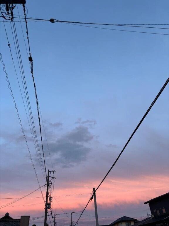 出勤しました！