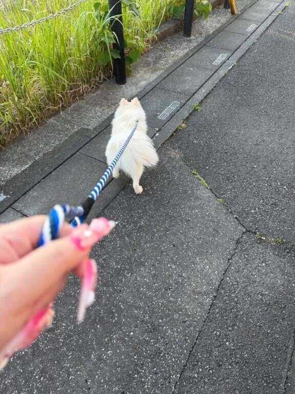 今日は寒いね(((( 🥶 ))))