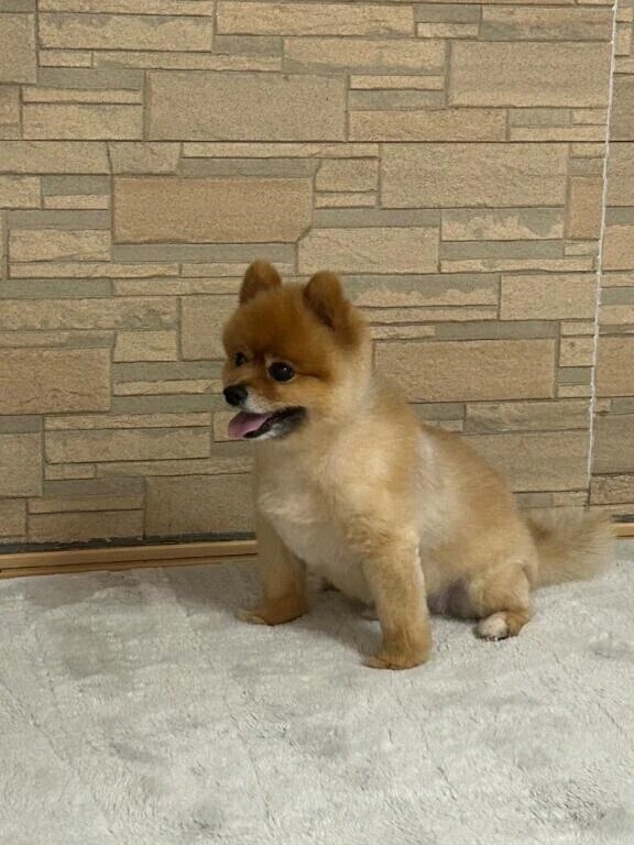 やっと!