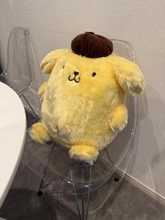 _( ˙꒳​˙ _ )ﾁｮｺﾝ