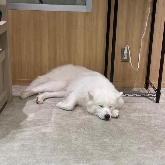 珍しい時間帯だよ🥺