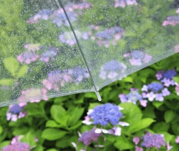 あちち