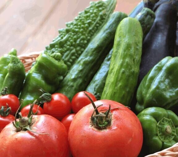 夏野菜