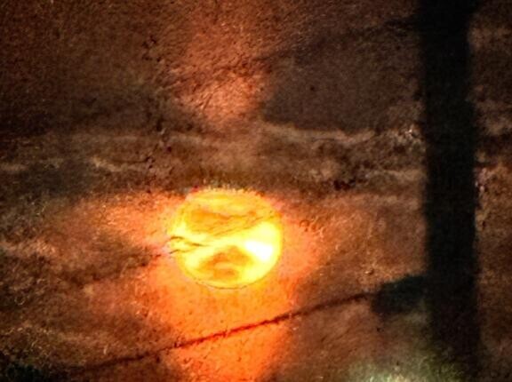 センス無し！笑