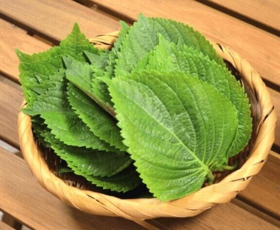 えごま