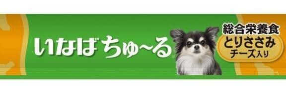 魔力