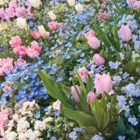 こんにちは