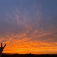 🌇