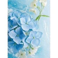 あっという間の一日でした🧁*.゜