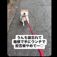 たまに戸惑うw＆お礼日記
