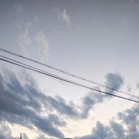 うた