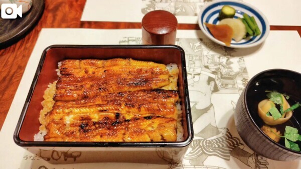 鰻先輩とナマズ新人。