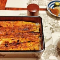 鰻先輩とナマズ新人。