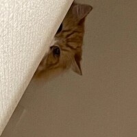 寝落ちしてたら夜になってた😂🌙
