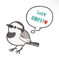おひさしぶりーふ