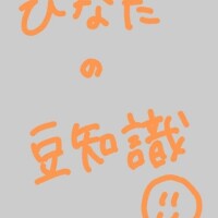🐥ひなたの今日の豆知識🫛