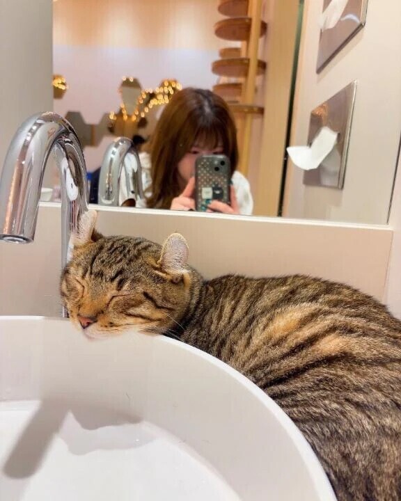 私の癒し🥹💕