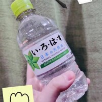 水を得たひなた🐟