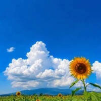 しょしょ、、？