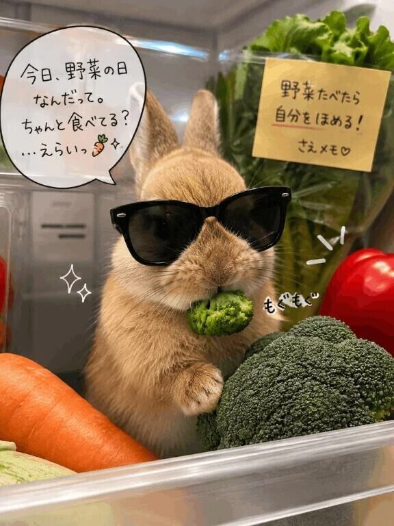 【悲報】今日野菜の日らしい。