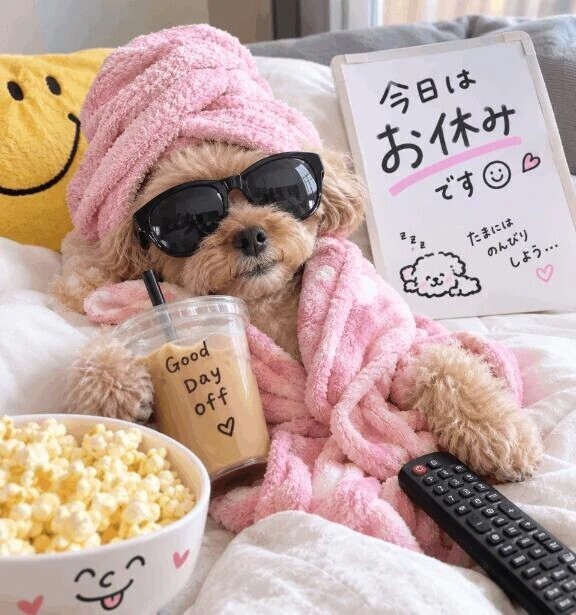 今日は、、、