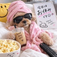 今日は、、、
