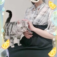 ゆずは