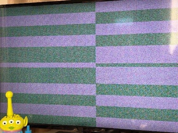 朝からテレビが大変なことに😭💦