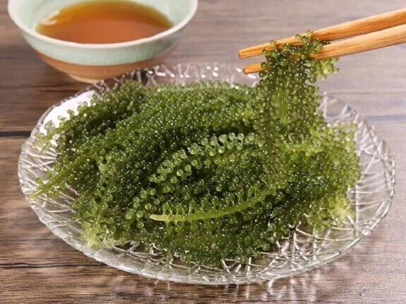 お土産、秒でバレます🤣