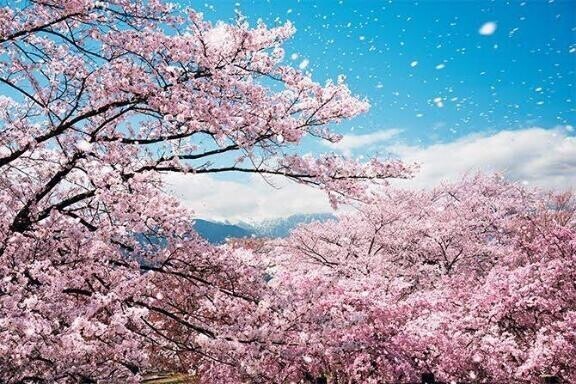 暖かいね🌞