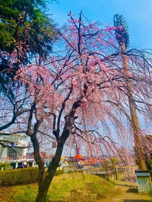 気分転換