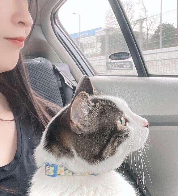 引っ越してきて2年