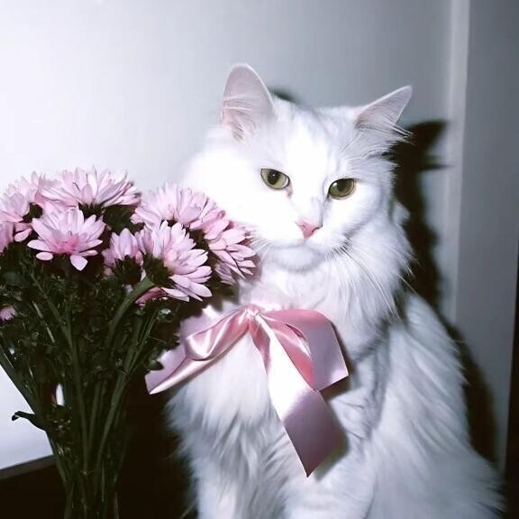 ごめんなさい😣