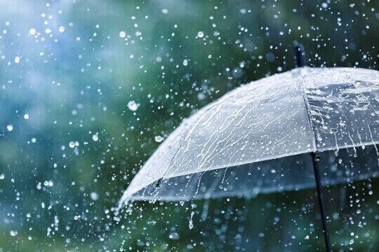 雨ですね☔️