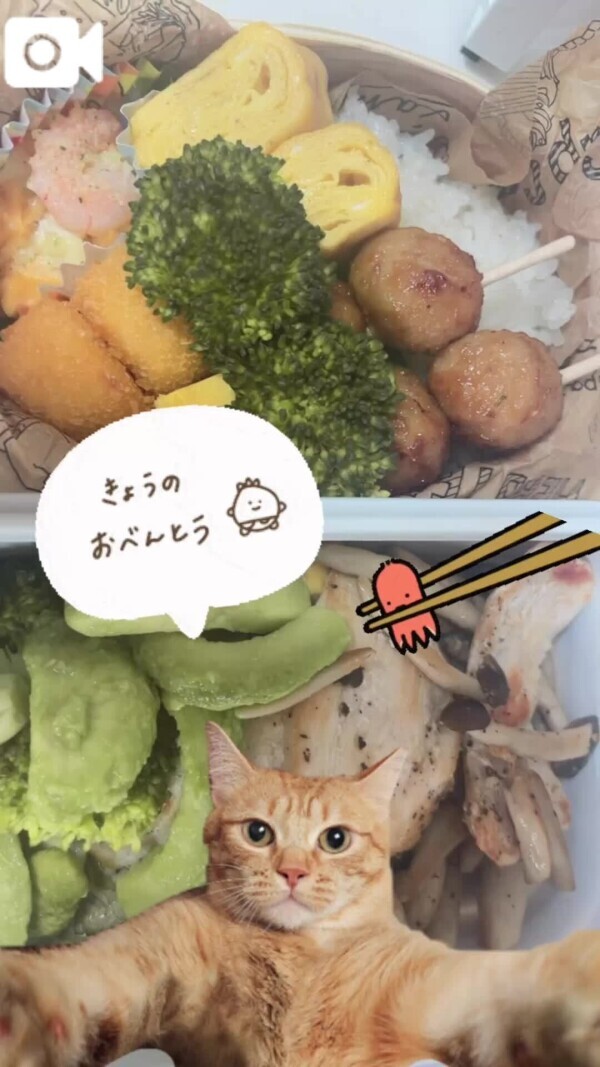 お弁当🍱😋🍴🍱♬*