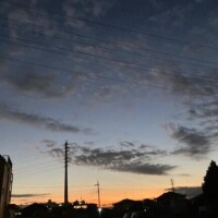 撮影