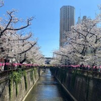 春は大胆になりがち？🫢❤️
