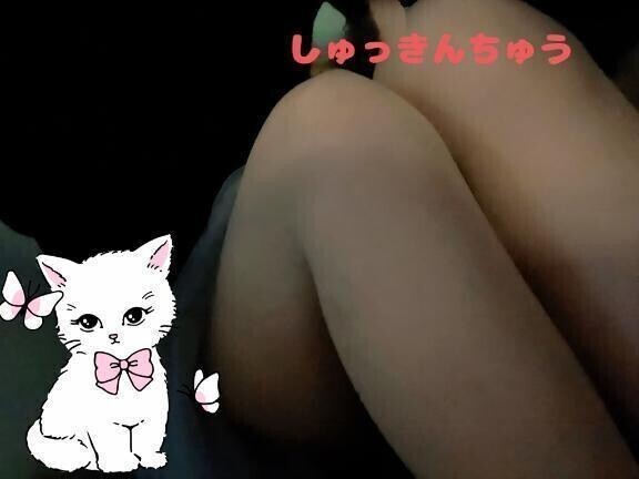 いまつきました😼