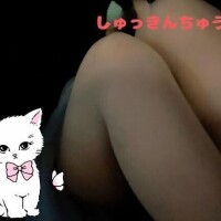 いまつきました😼